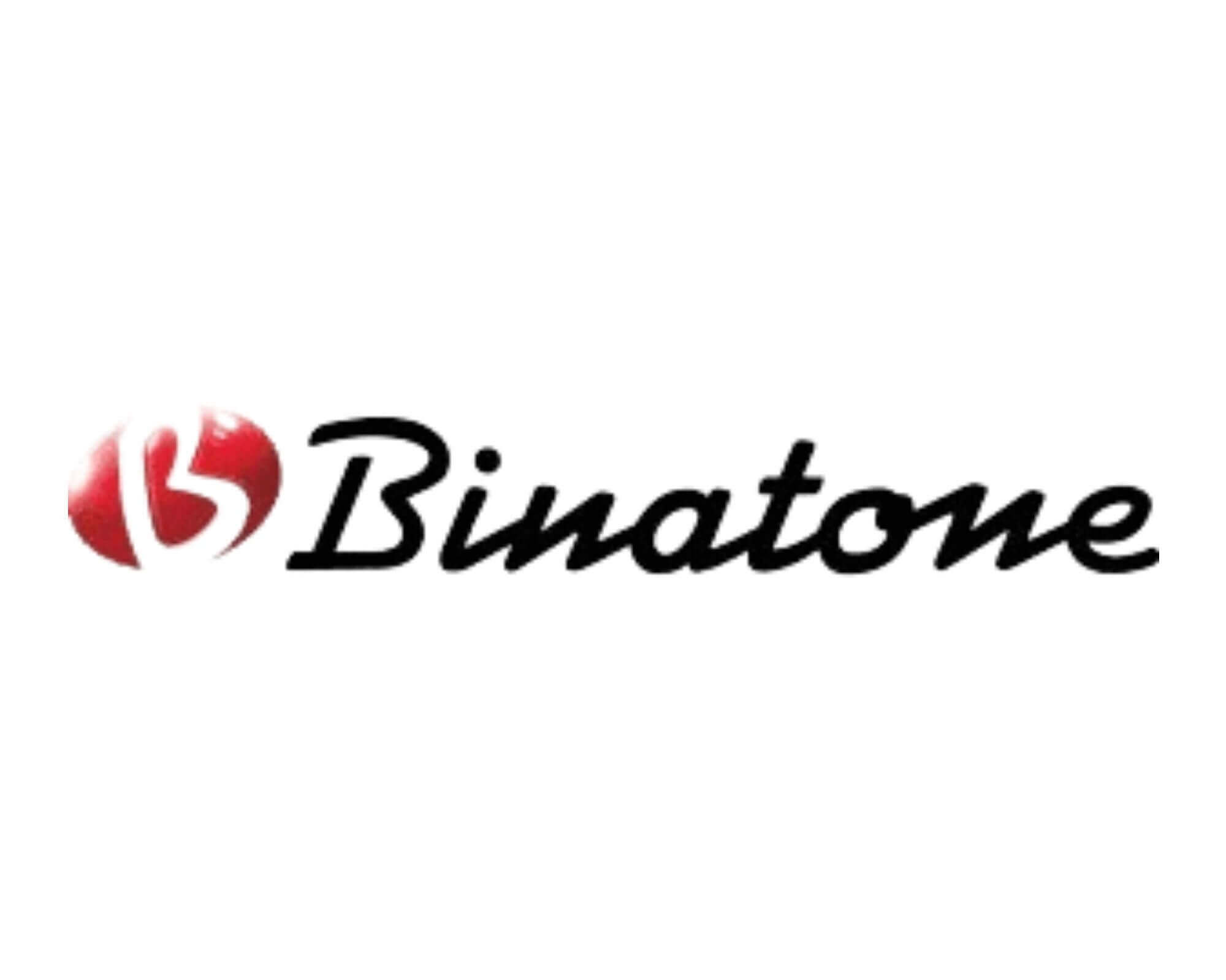 Logo Binatone sur le site 1 1